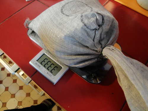 BB bag on scale Nissim Schaul
