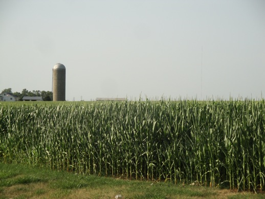 All-American scene of farmhouse and cornfields in, I believe, Independence, Iowa from July 4th, 2012