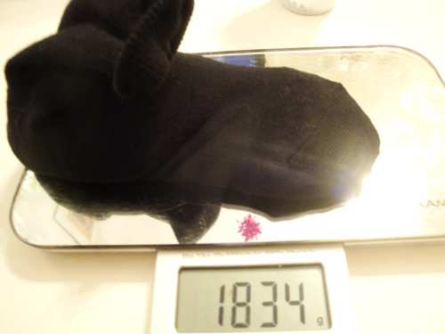 sock on scale full o' BBs Nissim Schaul