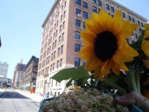 white currants and sunflowers from the St. Paul Farmers Market, in front of the Northwestern Building
