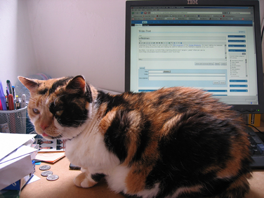 Natasha doesn't want me blogging today